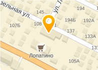 Тазитова А.Ф.