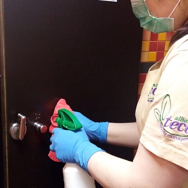 ТЭКО АЛЬЯНС