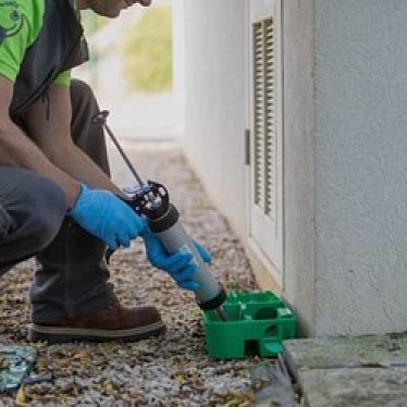 Центральная Санитарная Служба Санкт-Петербурга