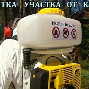 Санитарная служба