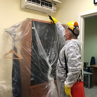 ТЭКО АЛЬЯНС