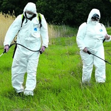 Уничтожение клопов, тараканов в Коломенском районе