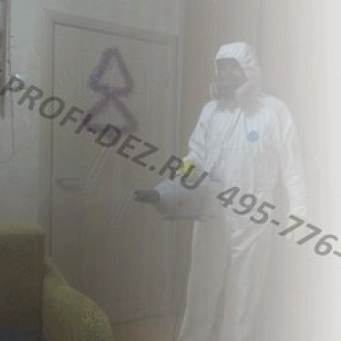 Уничтожение клопов, тараканов в Коломенском районе