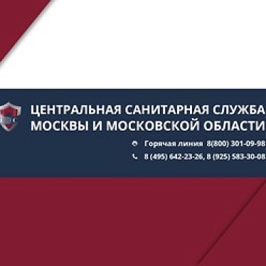 Центральная СЭС Электросталь