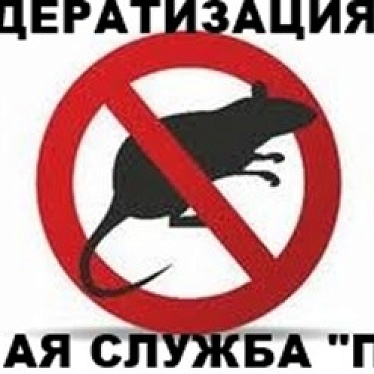 Санитарная служба