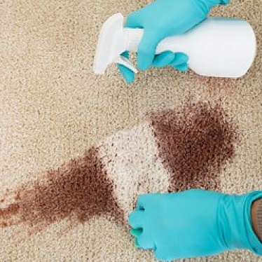 Аутсорсинговая клининговая компания "Geed"