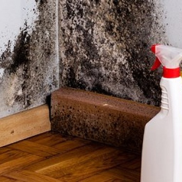 Клевер Клининг