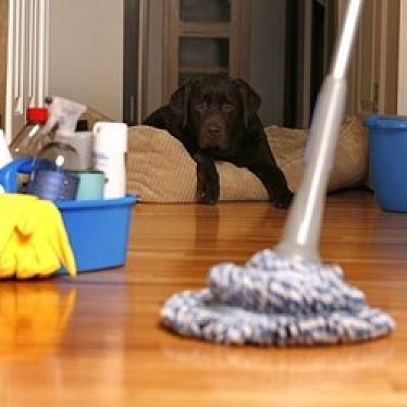 Клининговая компания "Веник"