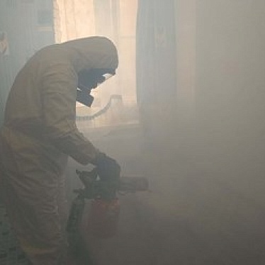 Центральная Санитарная Служба Санкт-Петербурга