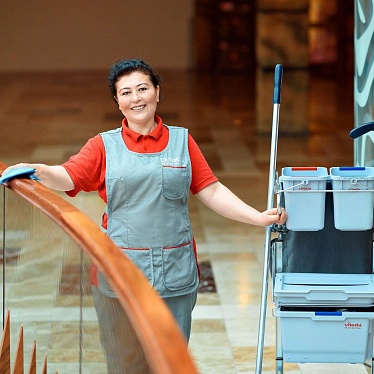 DAKO Professional Team