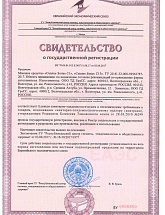 Домочисты - Россия, Орехово-Зуево,  - фото 4