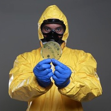 Центр Дезинфекции "НАСЕКОМЫХ.NET"