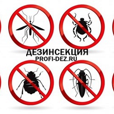 Санитарная служба