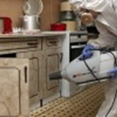 НАСЕКОМЫХ NET Новосибирск