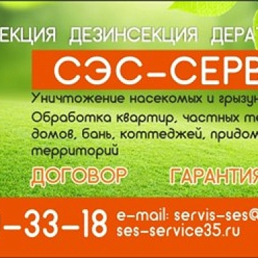 СЭС-Сервис