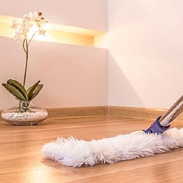 Светлый город