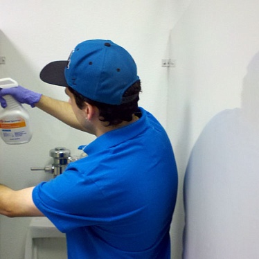 Территория Чистоты