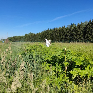 ООО ПДК «Авангард»