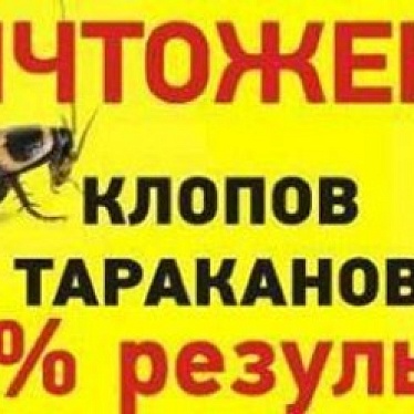 Алмаз - клининг