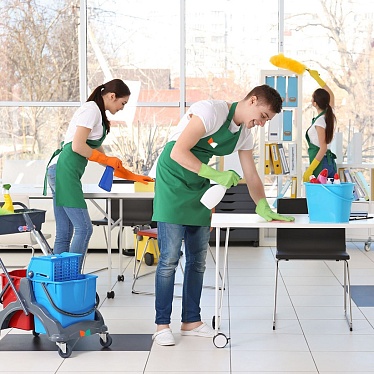 Москлининг