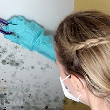 Клевер Клининг