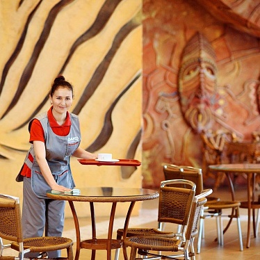 DAKO Professional Team