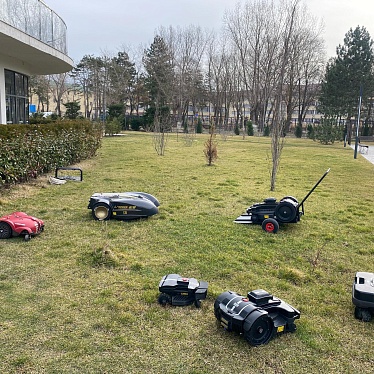 Роботы в городе