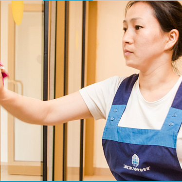 Экоклининг