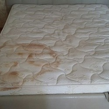 Веста Клининг