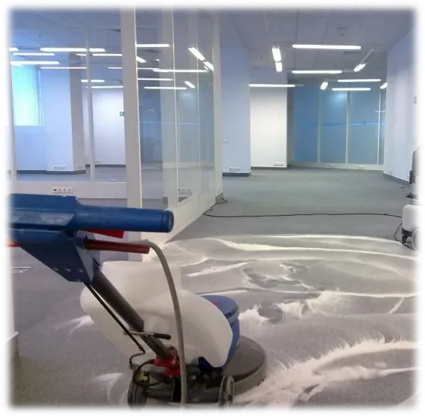 Технология уборки. Метод шампунирования (метод влажной обработки шампунем коврового покрытия)