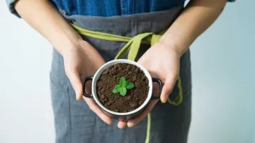 Вебинар "Зеленый клининг" (трилогия)